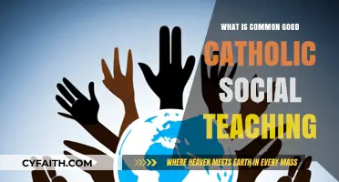 Understanding Catholic Social Teaching: The Common Good Explained
