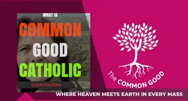 Understanding the Catholic Principle of the Common Good