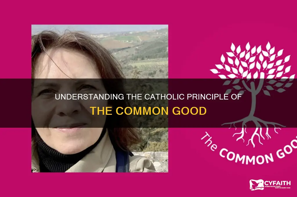 what is common good catholic
