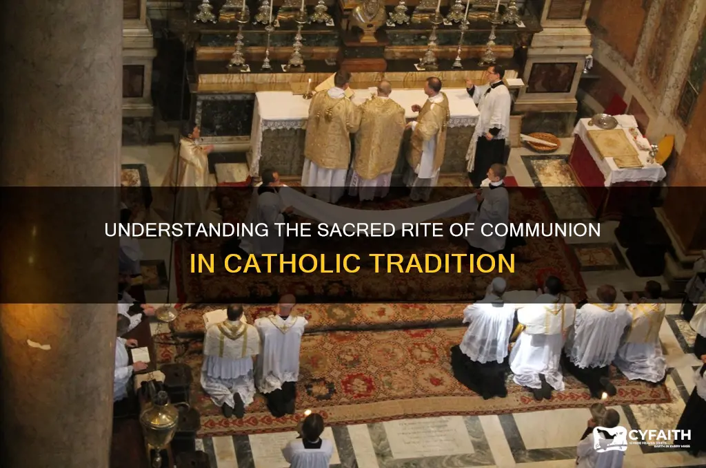 what is communin in catholic