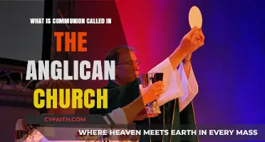 Understanding the Anglican Church's Term for Communion: A Guide