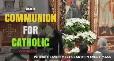 Understanding the Sacred Rite of Catholic Communion: Meaning and Practice