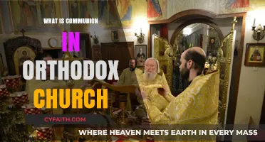 Understanding the Sacred Mystery of Orthodox Church Communion