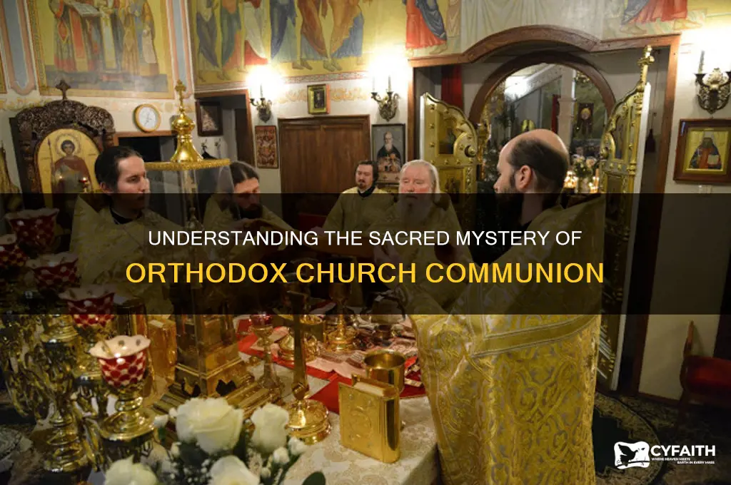what is communion in orthodox church