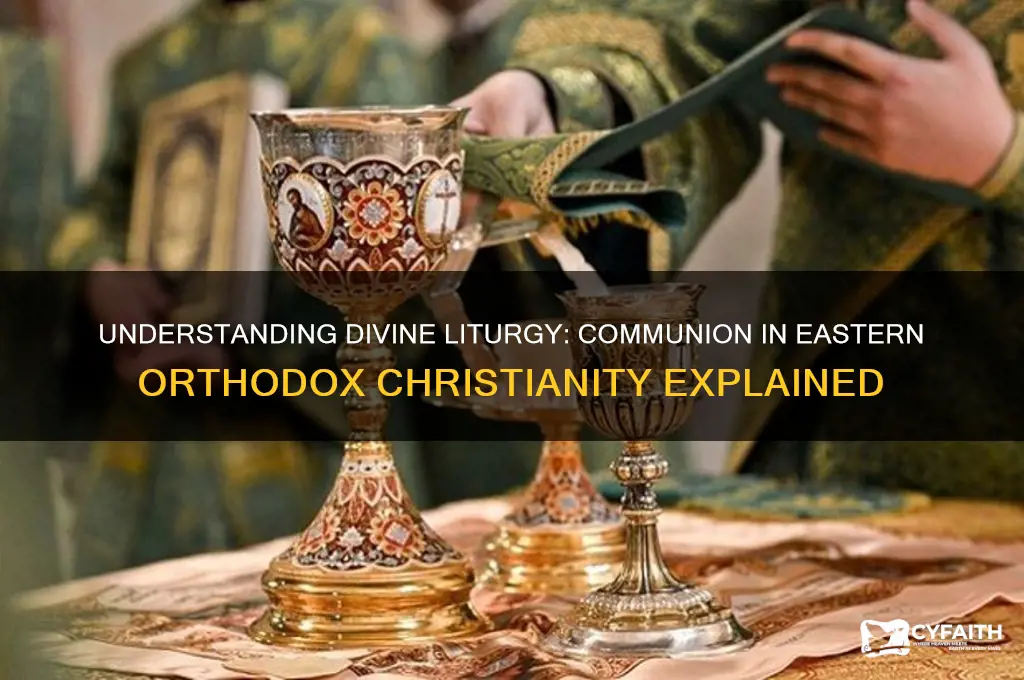 what is communion in the eastern orthodox christianity