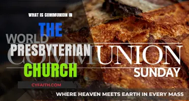 Understanding Communion in the Presbyterian Church: Meaning and Practice