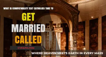 Understanding the Catholic Pre-Marriage Compatibility Test: FOCCUS Explained