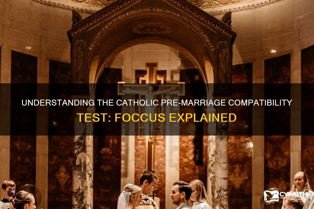 what is compatability test catholics take to get married called