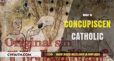 Understanding Concupiscence: A Catholic Perspective on Human Desire and Sin