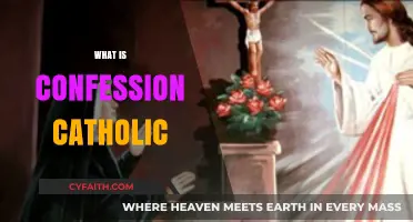 Understanding the Sacrament of Confession in the Catholic Faith
