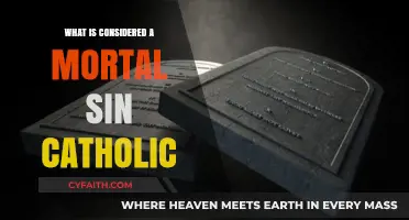 Understanding Mortal Sins: Catholic Teachings on Grave Offenses Against God