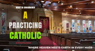 Understanding the Faith: What Defines a Practicing Catholic Today