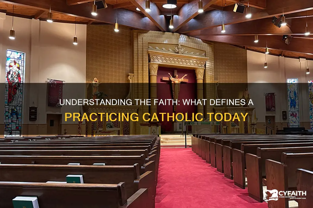 what is considered a practicing catholic