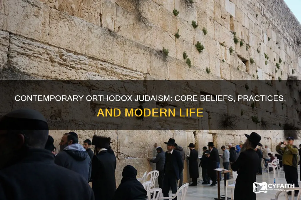what is contemporary orthodox judaism