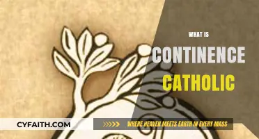 Understanding Continence in Catholic Teachings: A Comprehensive Guide