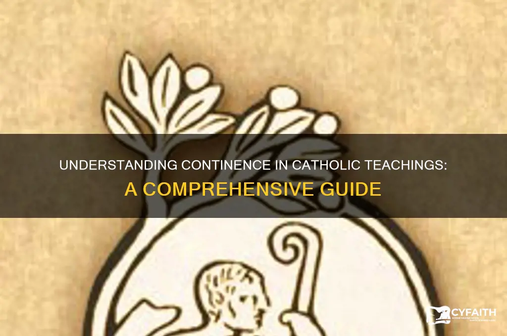 what is continence catholic
