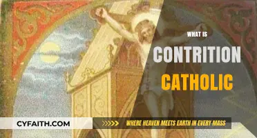 Understanding Contrition in Catholicism: A Path to Spiritual Renewal
