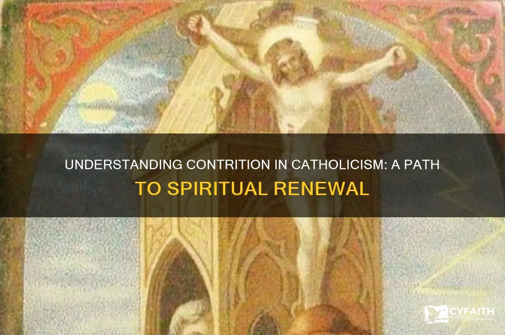 what is contrition catholic