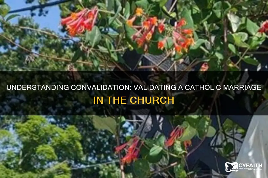 what is convalidation of a catholic marriage