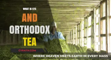 Understanding CTC and Orthodox Tea: A Comprehensive Guide to Processing Methods