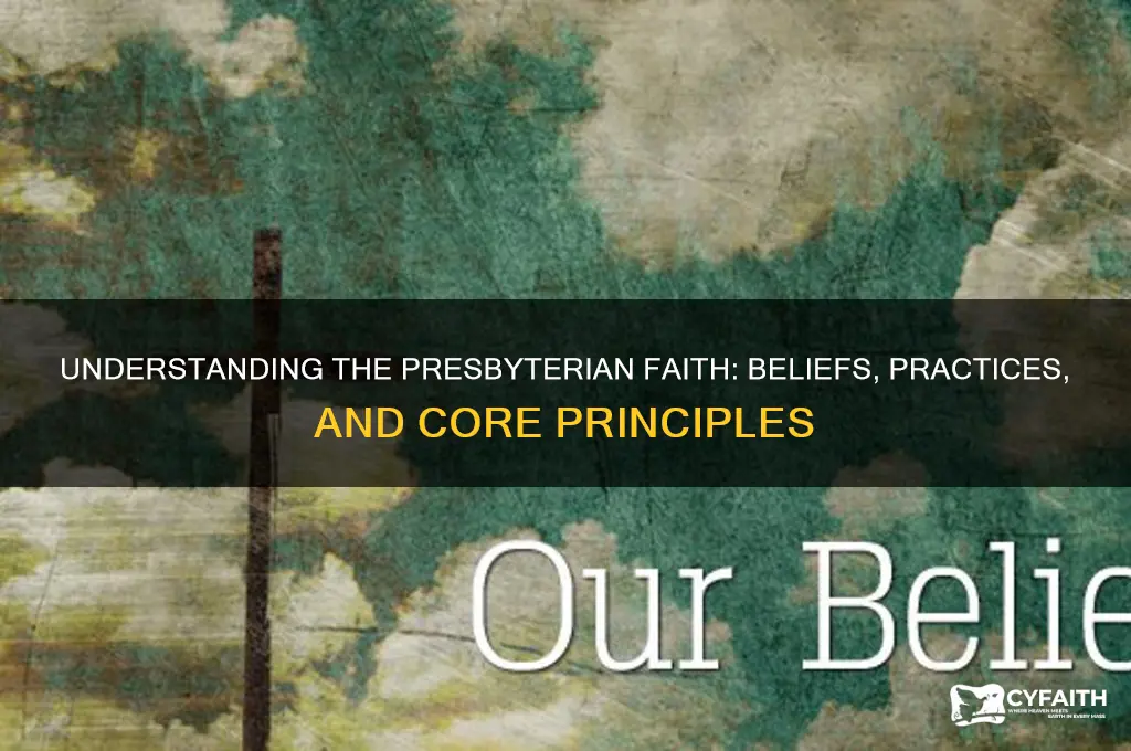 what is d meaning of presbyterian