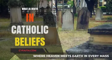 Understanding Death in Catholic Teachings: Eternity, Resurrection, and Salvation
