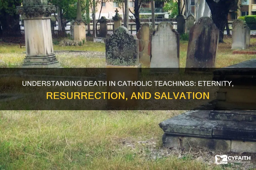what is death in catholic beliefs