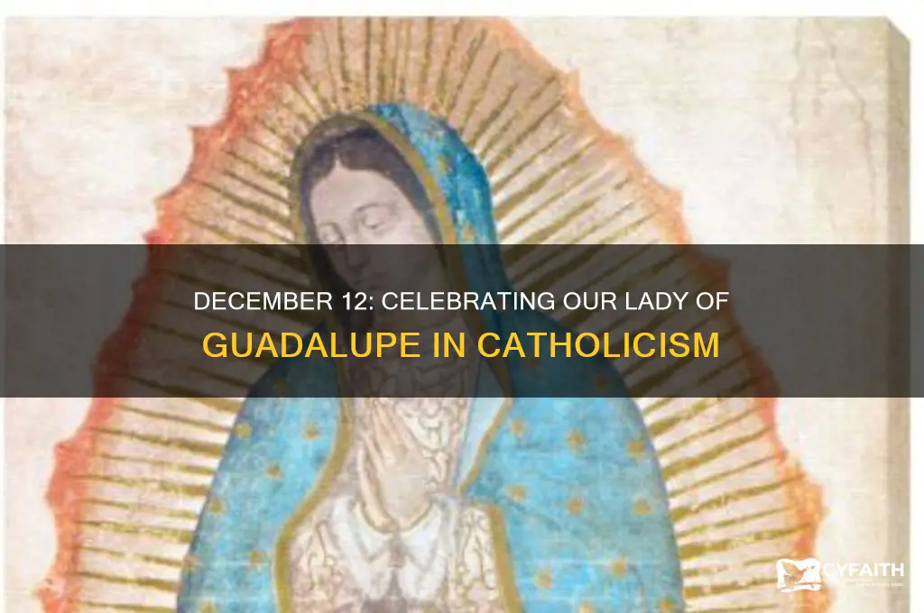 what is december 12 catholic