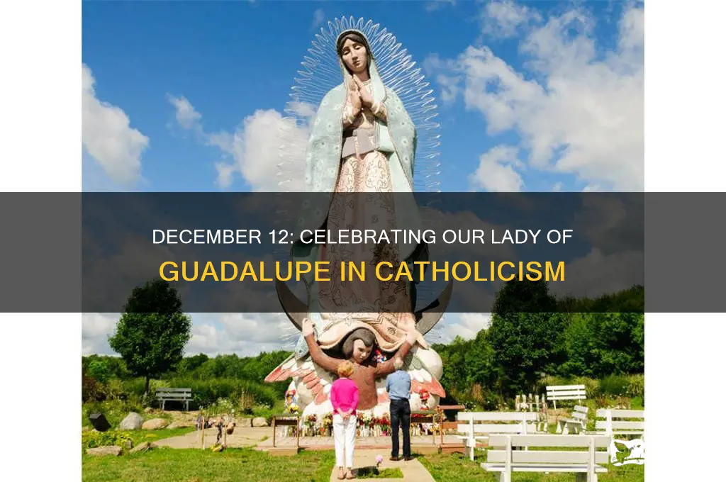 what is december 12 for catholic