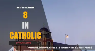 December 8: The Solemnity of the Immaculate Conception Explained