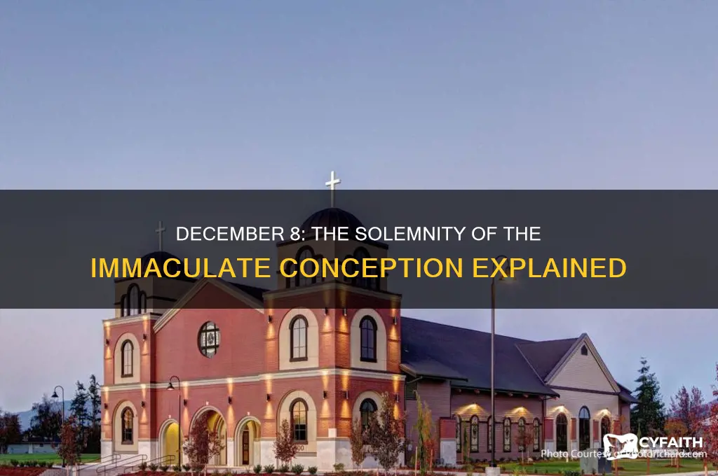 what is december 8 in catholic