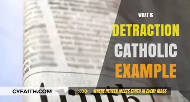 Understanding Detraction in Catholicism: Examples and Moral Implications