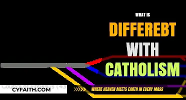 Understanding Catholicism: Key Differences and Unique Practices Explained