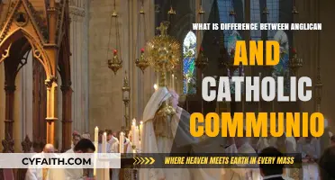 Anglican vs. Catholic: Understanding the Key Differences in Communion