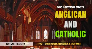 Anglican vs. Catholic: Key Differences in Beliefs and Practices Explained