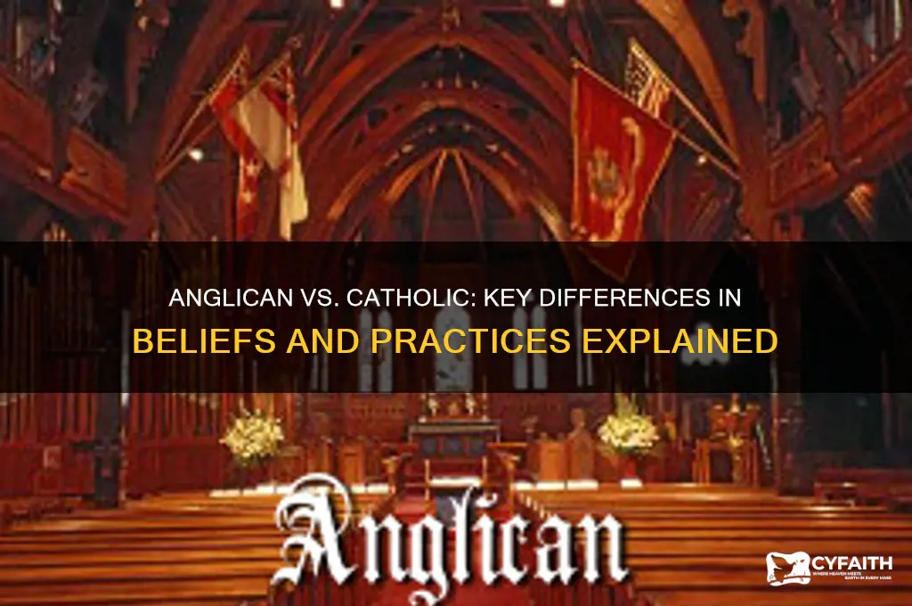 what is difference between anglican and catholic