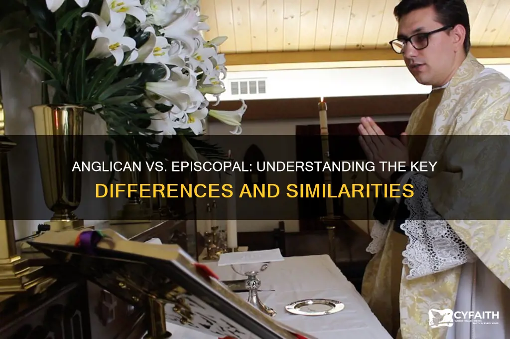 what is difference between anglican and episcopal