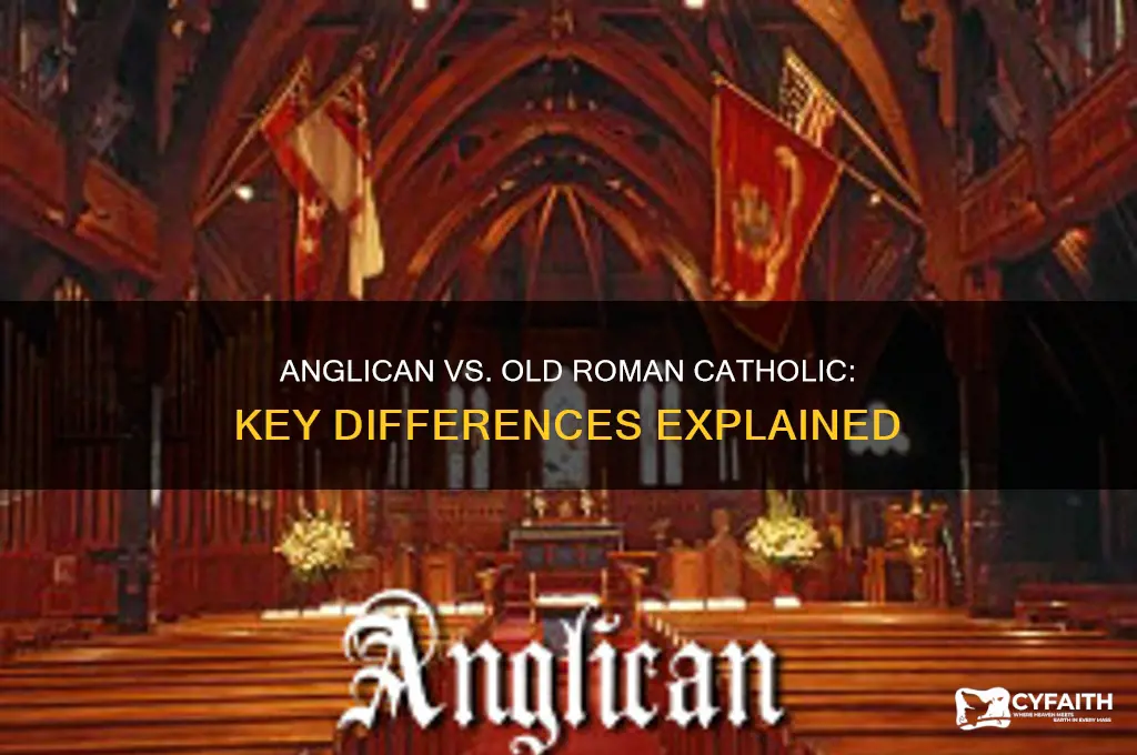 what is difference between anglican and old roman catholic