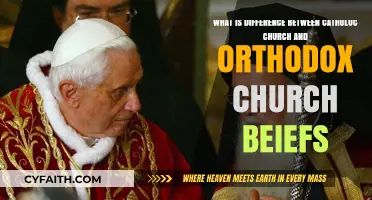 Catholic vs. Orthodox: Key Belief Differences Explained Simply