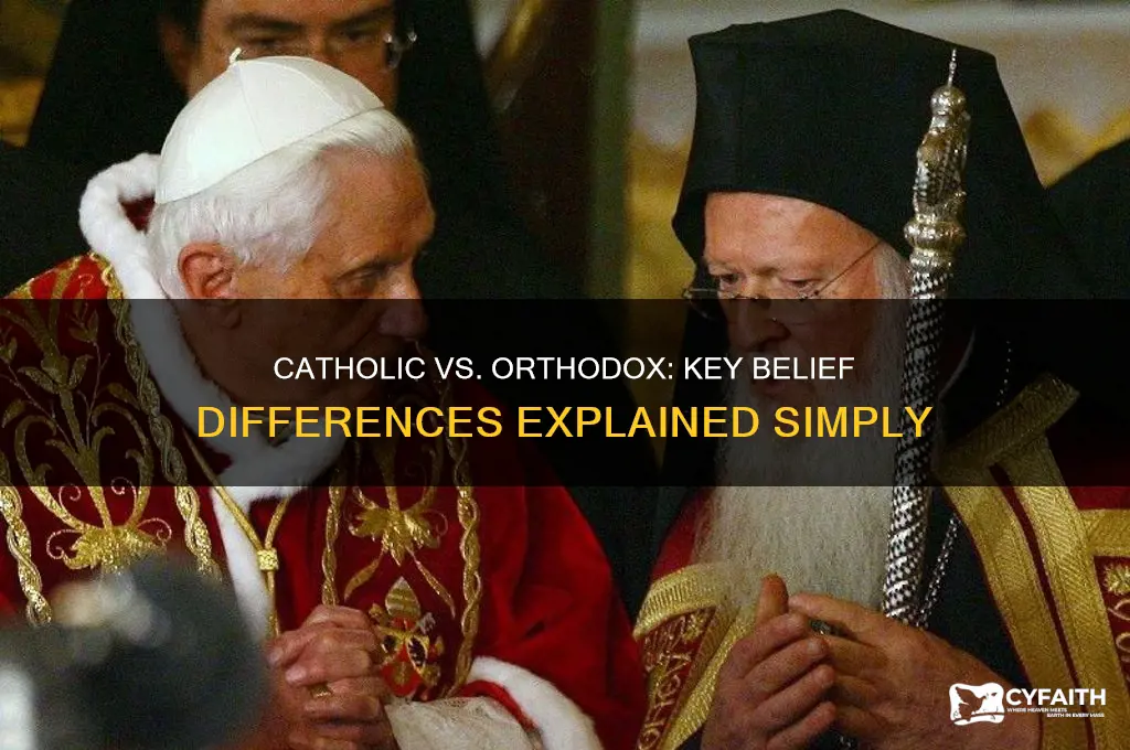what is difference between catholuc church and orthodox church beiefs