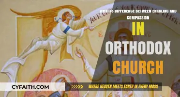 Enabling vs. Compassion: Understanding Orthodox Church Teachings and Practices