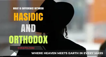 Hasidic vs. Orthodox Judaism: Key Differences and Distinct Practices Explained