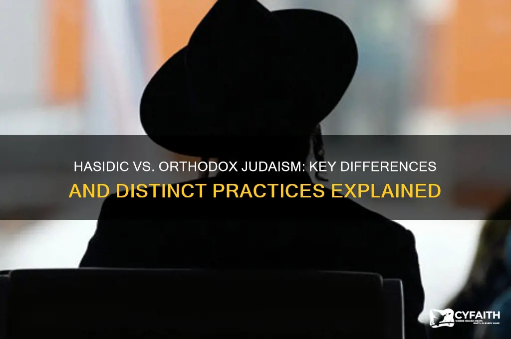 what is difference between hasidic and orthodox