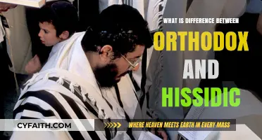 Orthodox vs. Hasidic Judaism: Key Differences in Beliefs and Practices