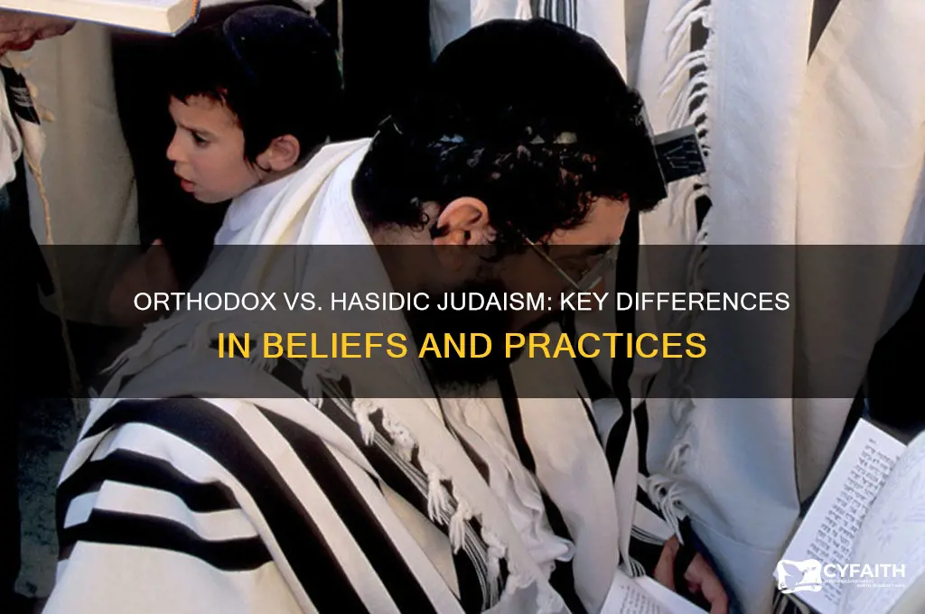 what is difference between orthodox and hissidic