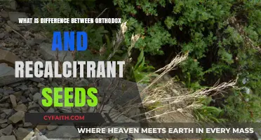 Orthodox vs. Recalcitrant Seeds: Understanding Key Differences and Storage Methods