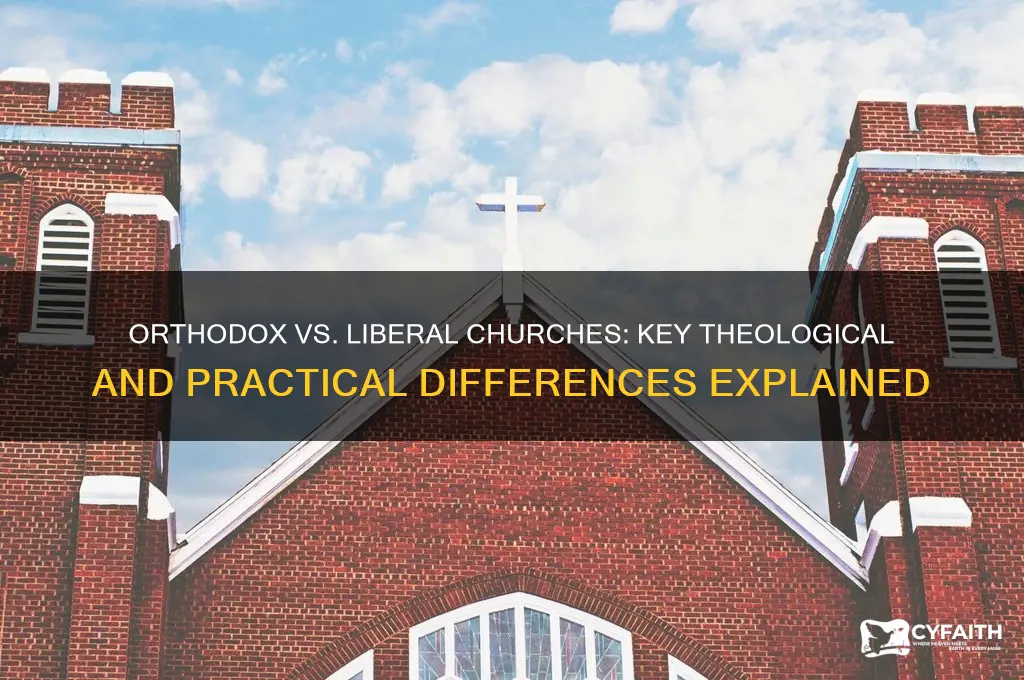 what is difference between orthodox churches and liberal churches