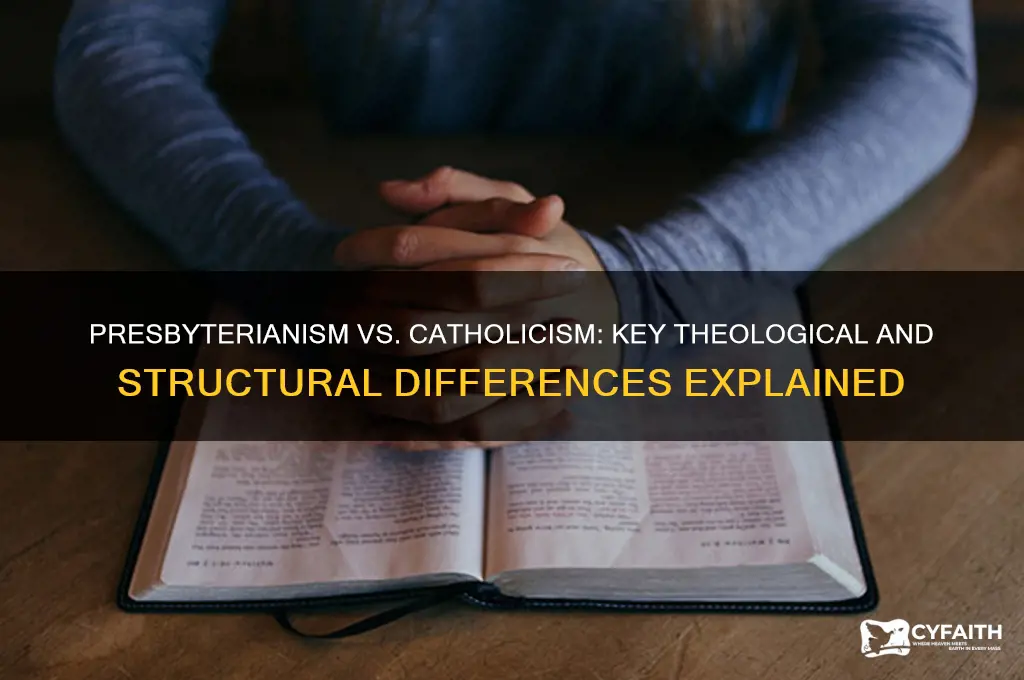 what is differnce between presbyterina and catholism