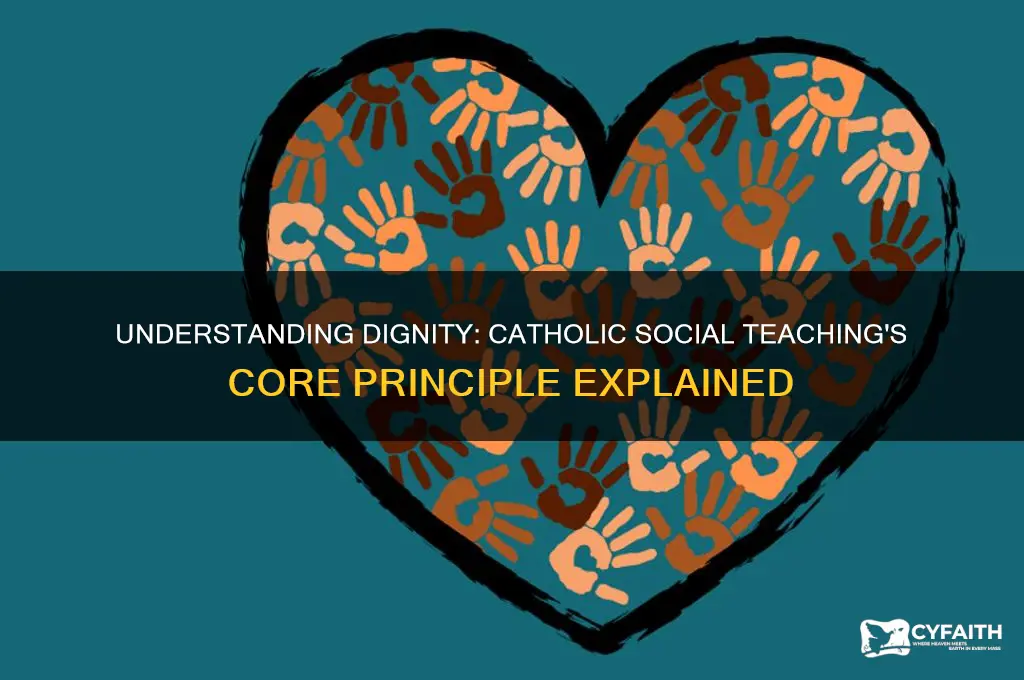 what is dignity as defined by catholic social teaching
