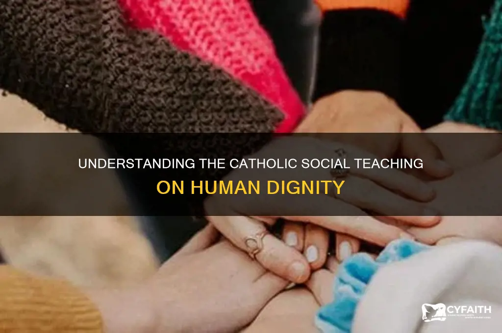what is dignity of the human person catholic social teaching